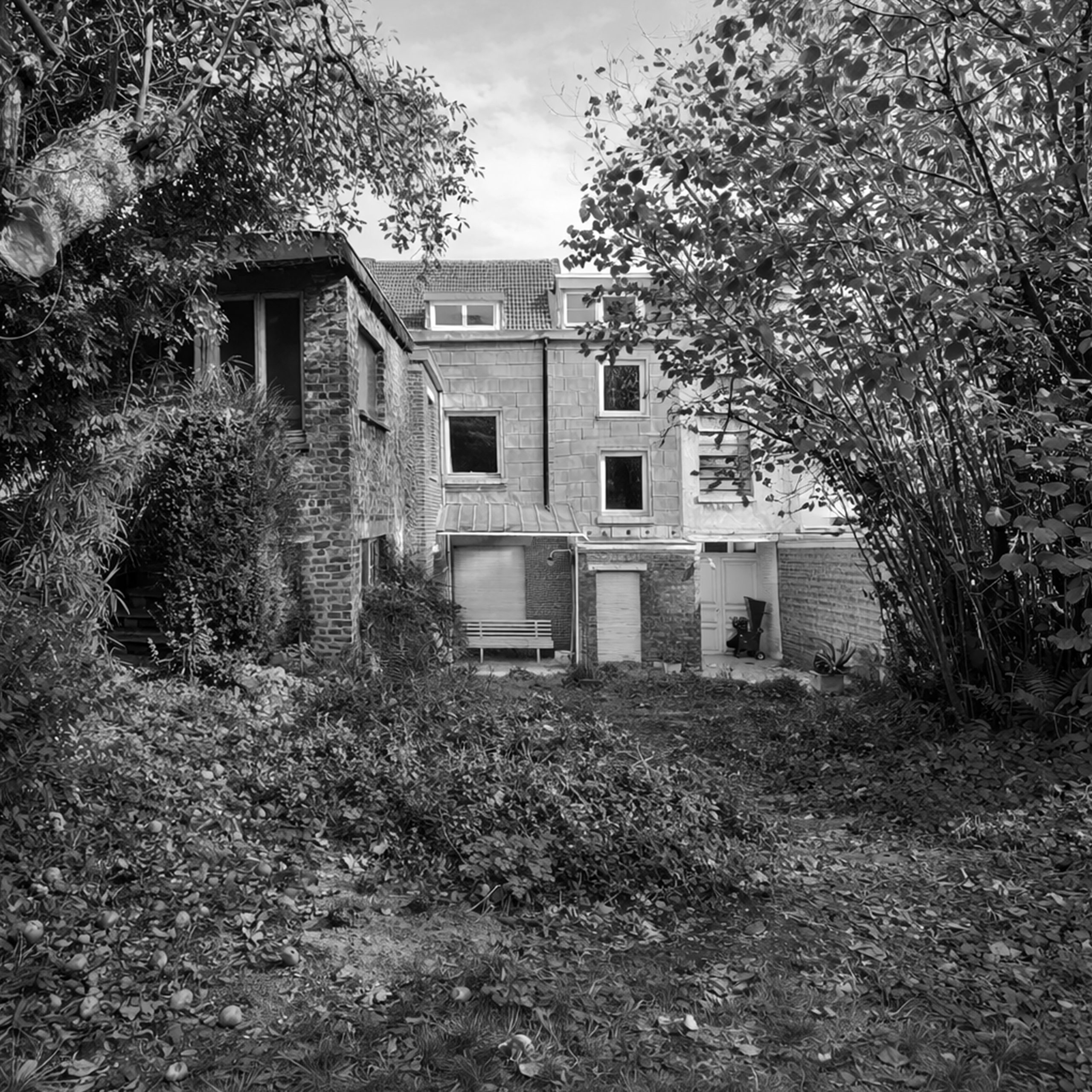 existant sans bord copie